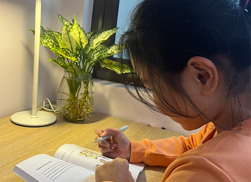 Z4964639118958 1689ca69eadf961c552a988b71b56012 20231211131317 Pdapi.jpg